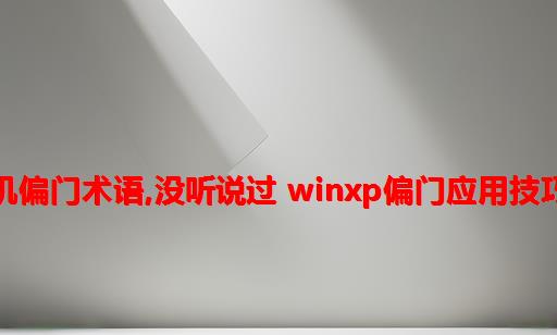 计算机偏门术语,没听说过 WinXP偏门应用技巧四则